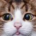 Abraham Tirado Rico - Facebook