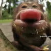 Abraham Rivera - @abraham.rivera954 - TikTok