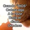 Abraham Rivera - @abraham.rivera95 - TikTok