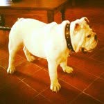 Abraham Perez Robinson - @abraham_1994 - Instagram