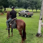 Abraham Rojas - @alejandro_rojas987 - Instagram