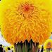 Abraham Roque - Facebook