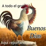 Abraham Rosete - @abraham.1.a - Instagram