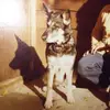 Abraham Roth - @abraham.roth6 - TikTok