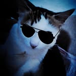 __unknown__ - @abra_ham_roy - Instagram