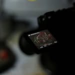 Basilu Abraham Roy - @my_photo_laboratory - Instagram