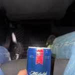 Abraham Jared Saenz - @_mr.fabuloso_ - Instagram