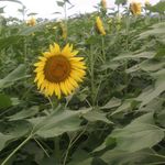 abraham said - @abrahamsaid64 - Instagram