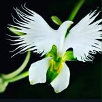 abraham salim - @abrhmsalim - Instagram