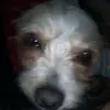 abrahm - @abrahamsamano60 - TikTok