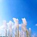 Ibrahim Shikdar - Facebook