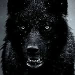 Abraham Stanley - @abrahamstanley83 - Instagram