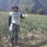 Abraham Tenango - @abrahamtenango - Instagram