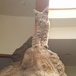 ABRAHAM  terraza - @abrahamterraza - Instagram