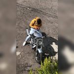 Abraham Terrazas - @terrazasabraham - Instagram