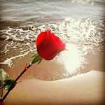 abrahampsan - @abrahamthon352 - Instagram