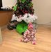 Abraham Tomas - Facebook