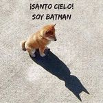 Abraham Tomas Yacub Bolaños - @yacubbolanos - Instagram