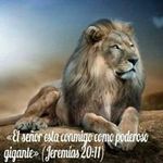 Abraham Utrera - @abraham.utrera.33 - Instagram