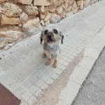 Abraham - @abraham__valle - Instagram