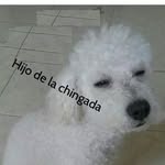 Abraham Valle Ayala - @abrahamvalleayala - Instagram