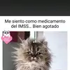 𝓐𝓑𝓡𝓐𝓗𝓐𝓝 𝓥𝓐𝓛𝓛𝓔 - @abraham.valle - TikTok
