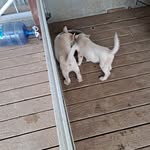 Abraham Vera - @abra.hamvera - Instagram