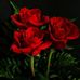 Abraham Veronica - Facebook