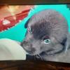 Abraham Vila - @abraham.vila51 - TikTok