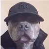 abraham_vives1 - @abraham_vives1 - TikTok