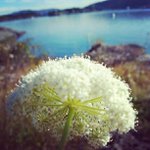 Abraham Ward - @lerahmed - Instagram