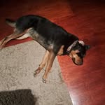 Tiernan Abraham Watts - @tiernan_a_watts - Instagram
