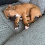 Karen Webster-Abraham - @karenwebsterabraham - Instagram