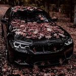 @abrahamweiss67100 - Instagram