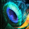 Abraham Wilson - @abraham.wilson40 - TikTok