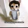 @ELCANPESINO - @abraham.zarate18 - TikTok
