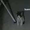 Abram ALVAREZ - @legendarioar - TikTok