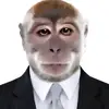 abrambrumm - @abrambrum - TikTok