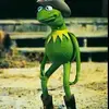 Abrambell - @abramb07 - TikTok