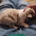 @boone.abram - Instagram