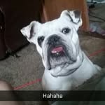 Carter Abram - @carterabram - Instagram