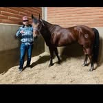 Abram Chavez - @abramchavez901 - Instagram