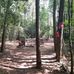Abraham Abram Cochran Cemetery Est.1862 Famed Walking Stick Sycamore Tree - Facebook