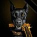 Abraham Dotsey - Facebook