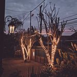 Abram Ginting - @abramginting - Instagram