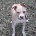 Abram Gonzalez - @abram.gonzalez.77770 - Instagram