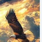 Hab Abraham - Facebook