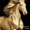user1474165115550 - @abramhudson8jt6ph - TikTok