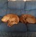 Abram Ivy - Facebook
