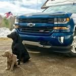 Abram Klassen - @klassen5325 - Instagram